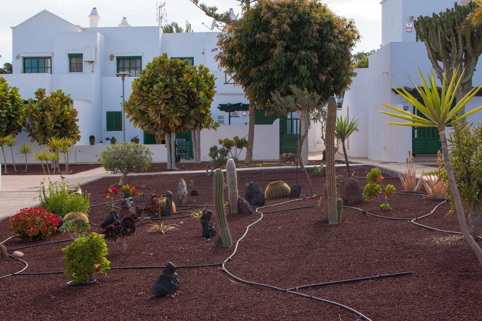 Casa Paz - Cozy 2 Bedroom Apartment Close To Dorada Beach Playa Blanca  Exterior foto
